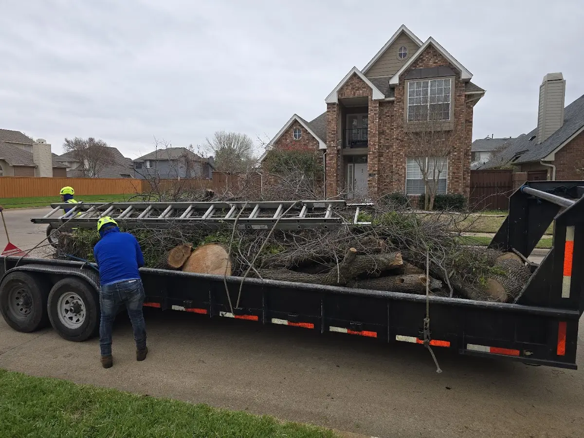 Expert Tree Fertilization with proper safety equipment in Wayside